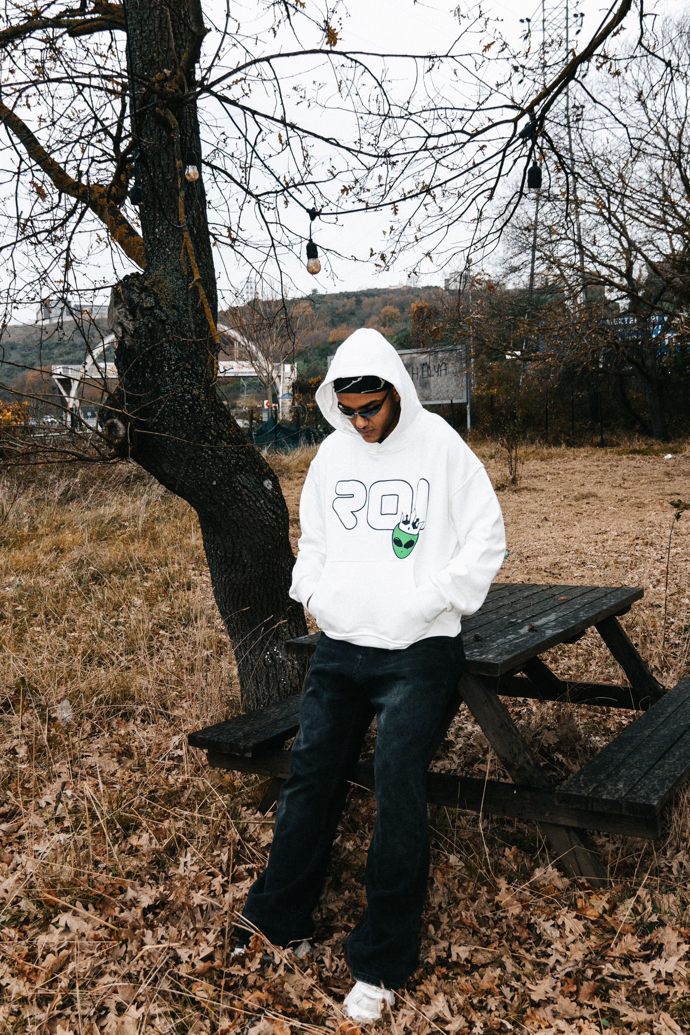 Alien Premium Hoodie