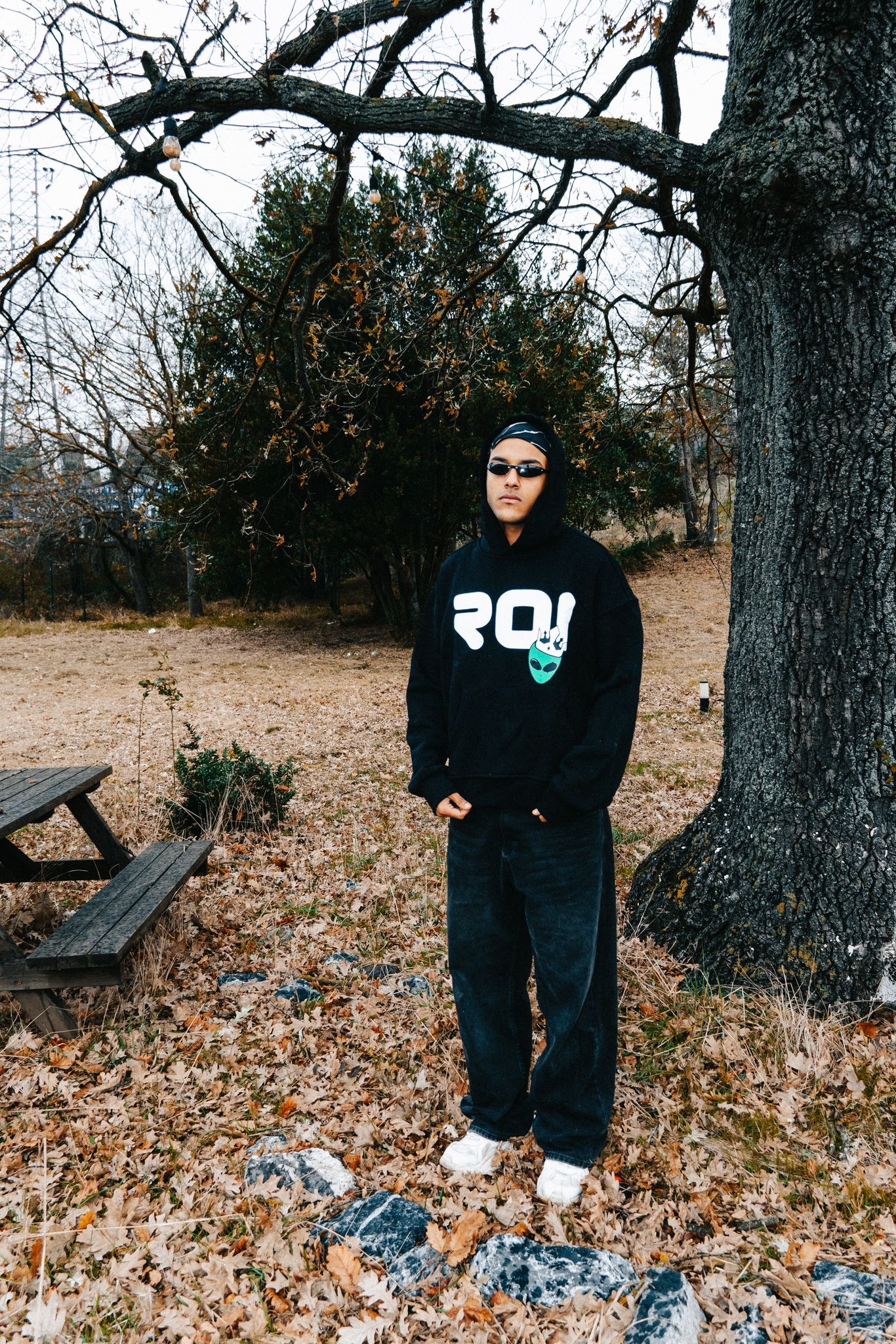 Alien Hoodie