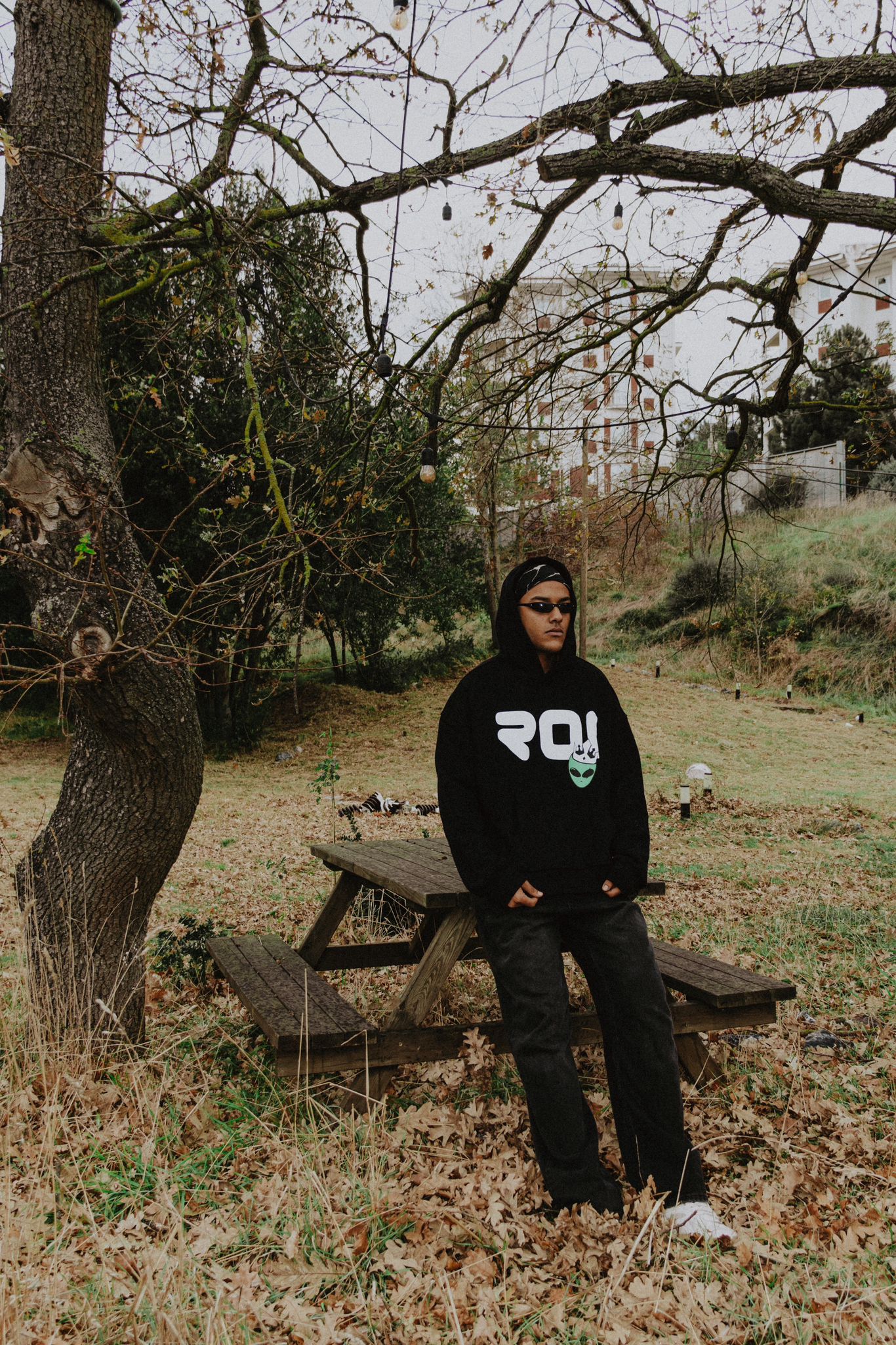 Alien Hoodie